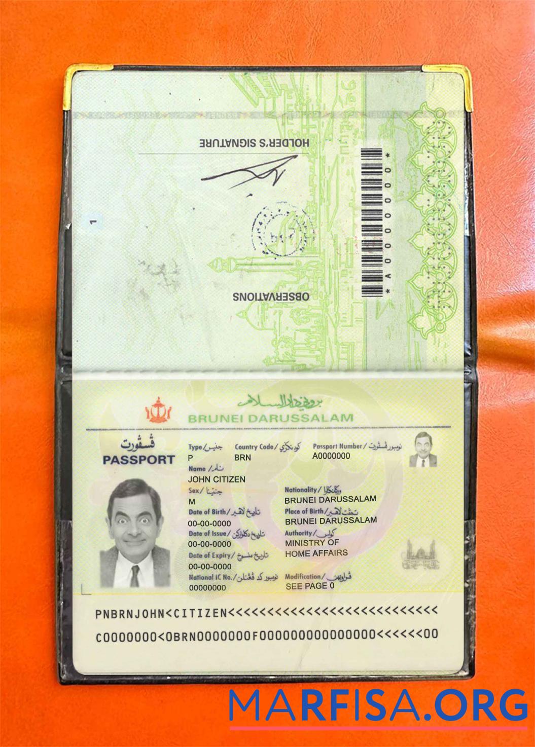 Blank Brunei pass photo look real example